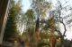 2006_maj_ 228