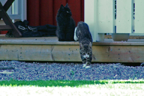 2006_aug_ 104_redigerad